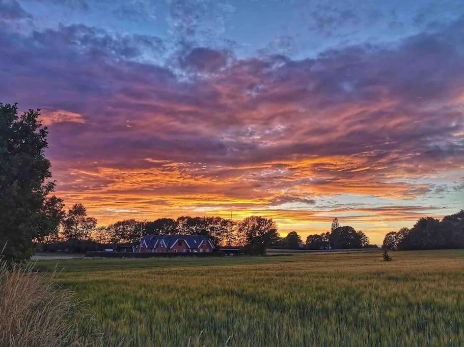 Ferienwohnung Kongsholmlund. Enjoy The Countryside. Vejby Exterior foto