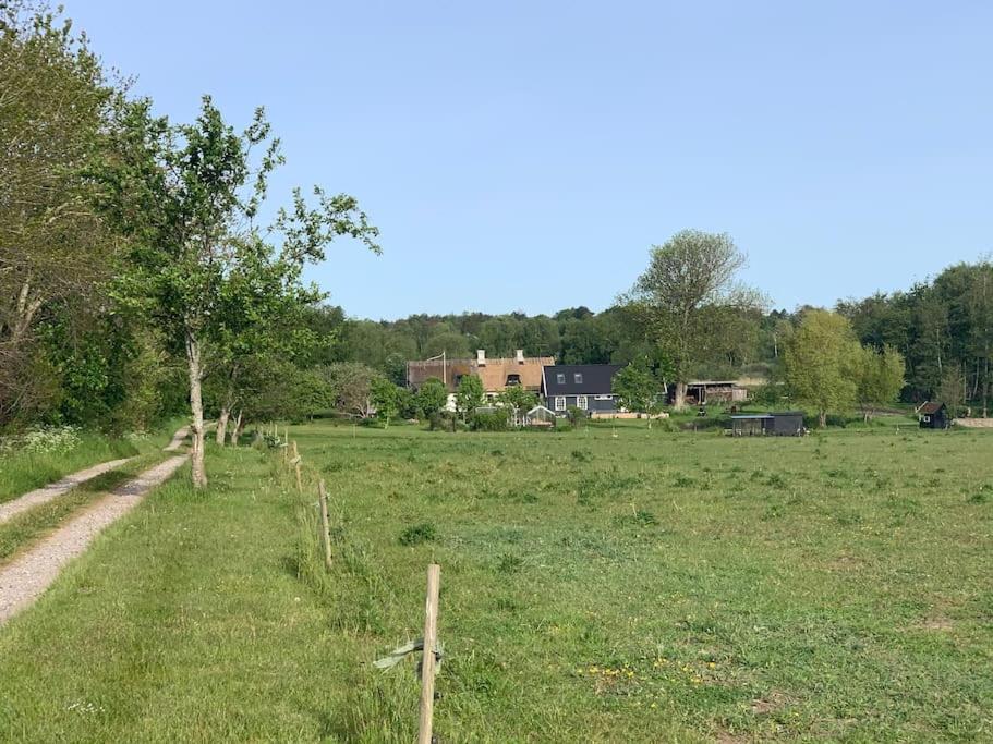 Ferienwohnung Kongsholmlund. Enjoy The Countryside. Vejby Exterior foto