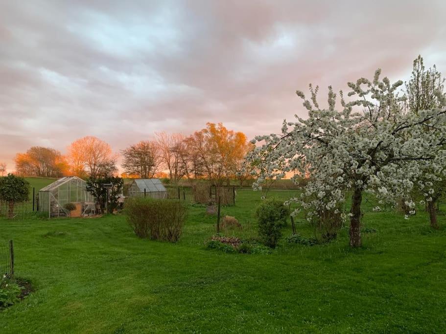 Ferienwohnung Kongsholmlund. Enjoy The Countryside. Vejby Exterior foto