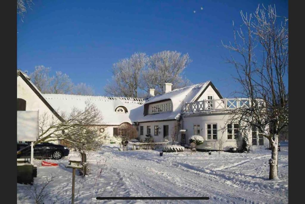 Ferienwohnung Kongsholmlund. Enjoy The Countryside. Vejby Exterior foto